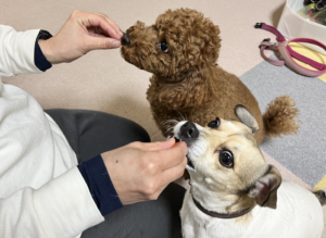 生活の中に学校とは関係ない時間が生まれます