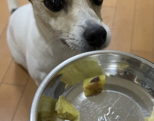 おやつに隠す方法