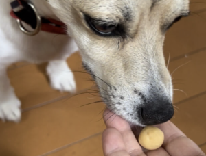 メディボール