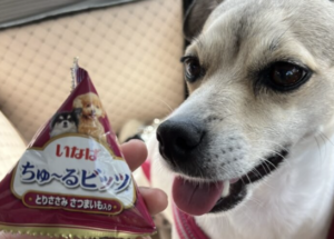犬用ちゅーるビッツ